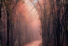 欧国联盛况：球迷共同见证精彩比赛！